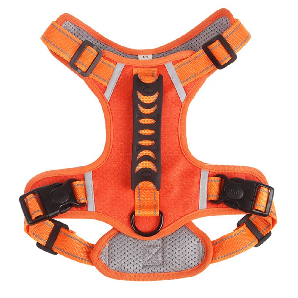 Nylon No-Pull Dog Harness for Small & Large Dogs