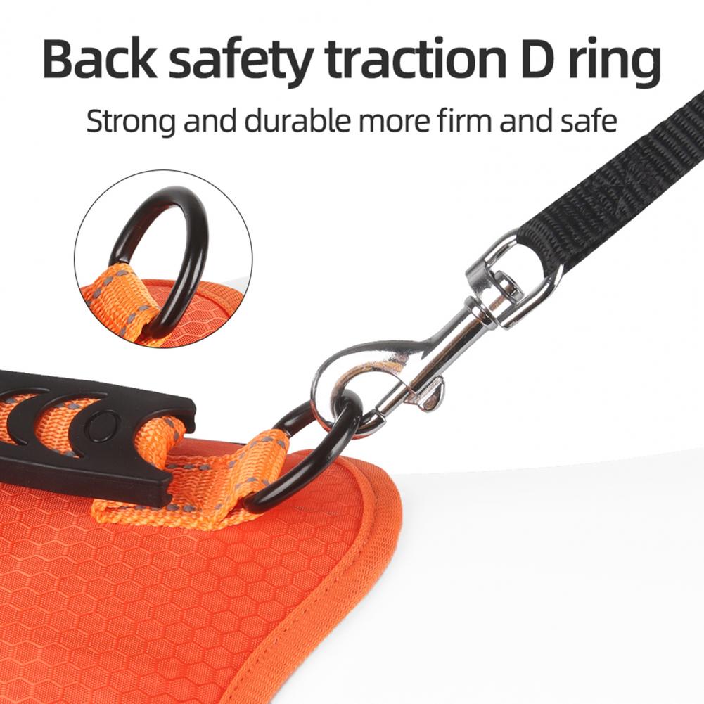 Nylon No-Pull Dog Harness for Small & Large Dogs