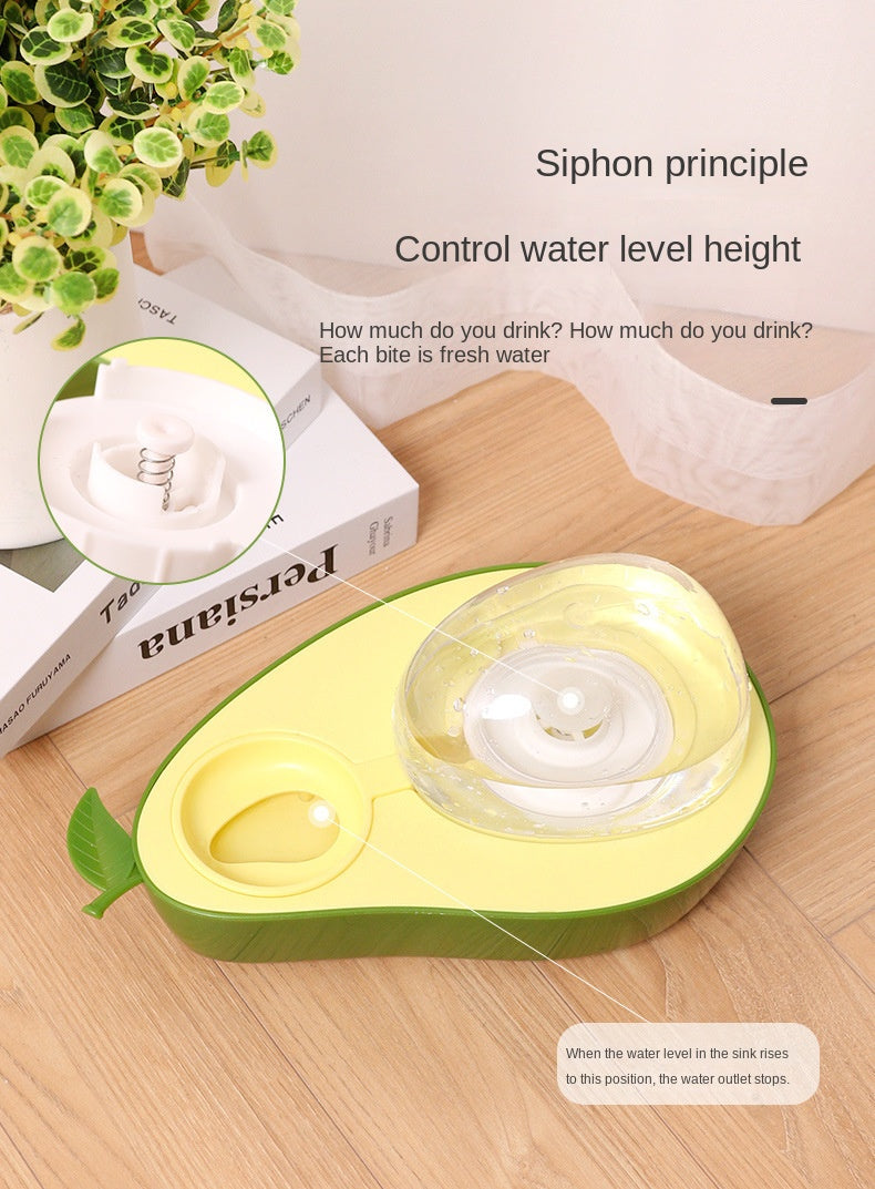 Automatic Pet Water Bottle & Feeder