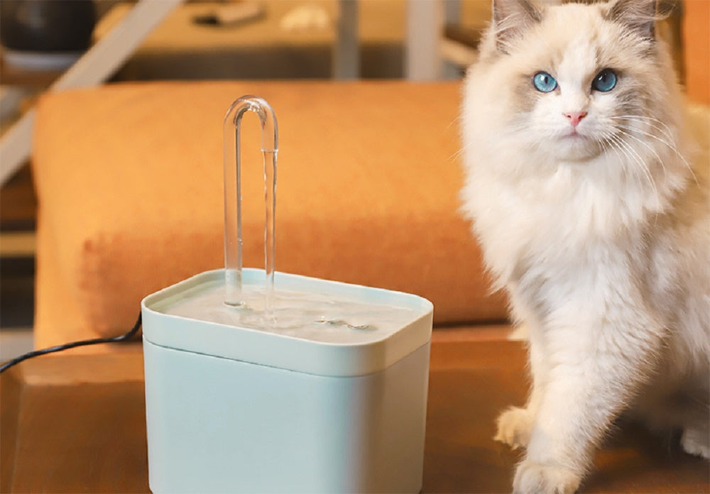 Automatic Cat Water Dispenser