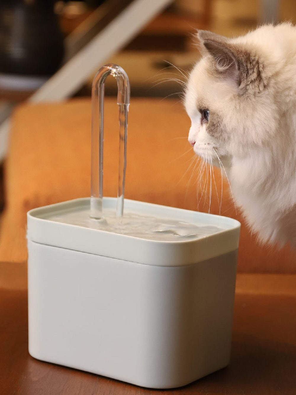 Automatic Cat Water Dispenser